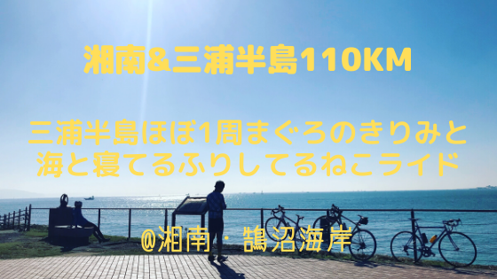 三浦半島ほぼ1周まぐろのきりみと海と寝てるふりしてるねこライド110km