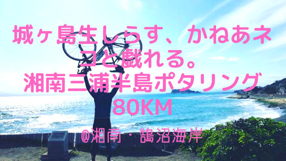 城ヶ島生しらす、かねあネコと戯れる。三浦半島ポタリング80km