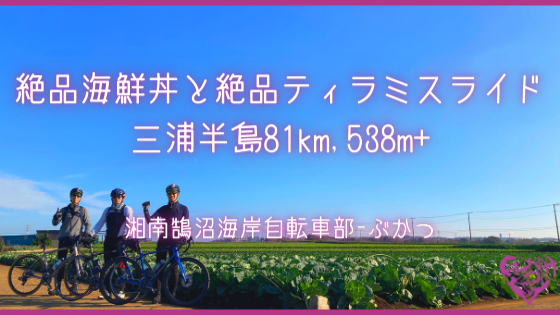 [湘南鵠沼海岸自転車部] 三浦半島で絶品海鮮丼と絶品ティラミスライド 81km, 538m+