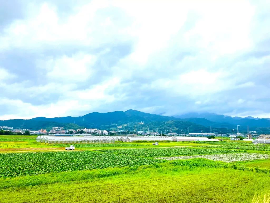 平塚里山ポタリング写真1-湘南鵠沼海岸自転車部